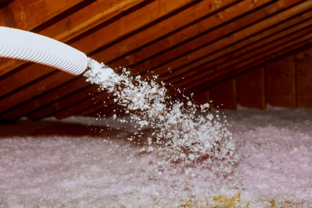 Best Spray Foam Insulation in Amador Pines, CA
