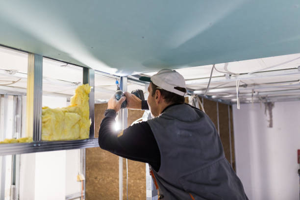 Types of Insulation We Offer in Amador Pines, CA