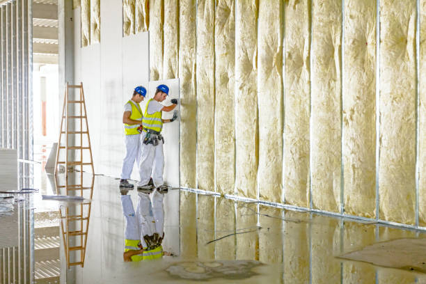 Best Geographic-Specific Insulation Services in Amador Pines, CA